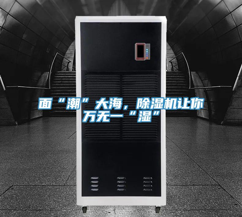 面“潮”大海，小黄片直播视频让你万无一“湿”