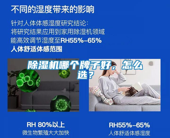 小黄片直播视频哪个牌子好，怎么选？
