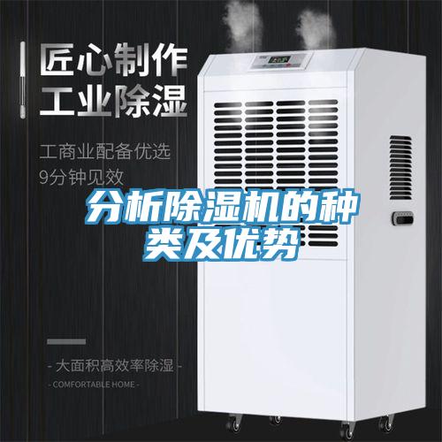分析小黄片直播视频的种类及优势
