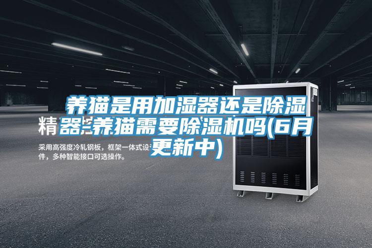 养猫是用加湿器还是除湿器-养猫需要小黄片直播视频吗(6月更新中)