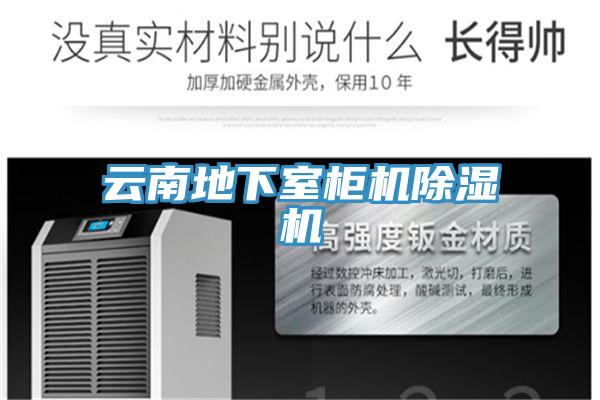 云南地下室柜机小黄片直播视频