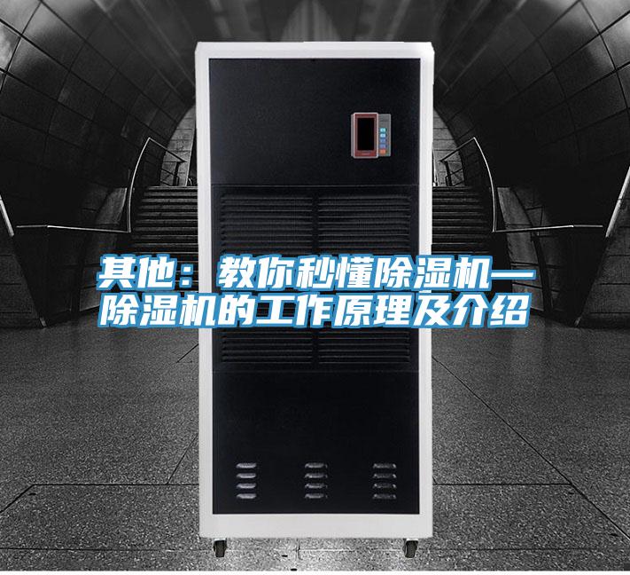 其他：教你秒懂小黄片直播视频—小黄片直播视频的工作原理及介绍