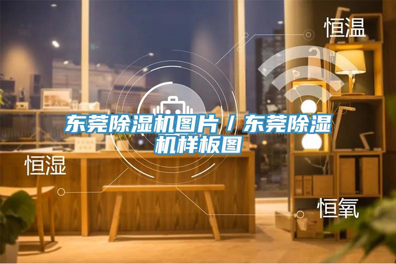 东莞小黄片直播视频图片／东莞小黄片直播视频样板图