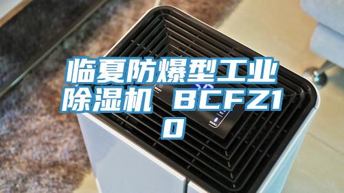 临夏防爆型工业小黄片直播视频 BCFZ10