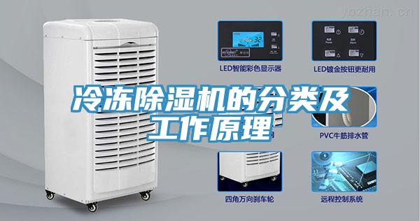 冷冻小黄片直播视频的分类及工作原理