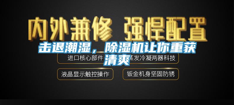 击退潮湿，小黄片直播视频让你重获清爽