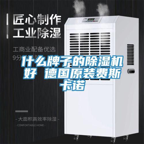 什么牌子的小黄片直播视频好 德国原装费斯卡诺