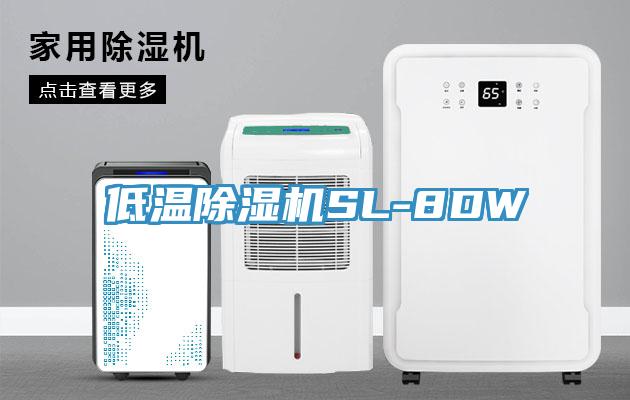 低温小黄片直播视频SL-8DW