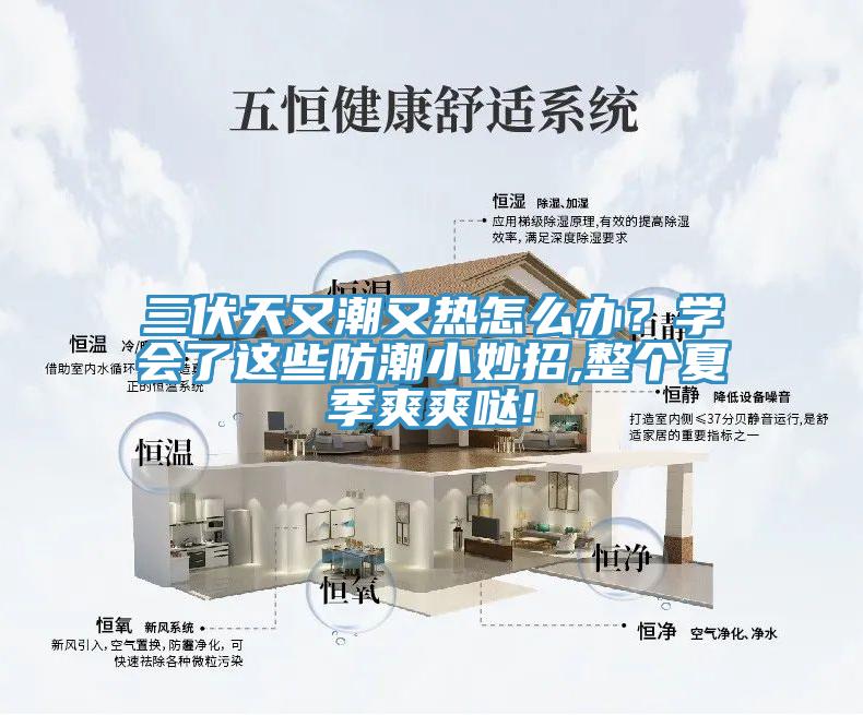 三伏天又潮又热怎么办？学会了这些防潮小妙招,整个夏季爽爽哒!