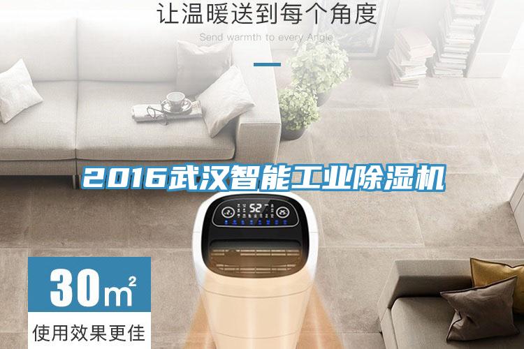 2016武汉智能工业小黄片直播视频