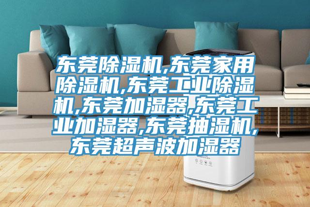 东莞小黄片直播视频,东莞家用小黄片直播视频,东莞工业小黄片直播视频,东莞加湿器,东莞工业加湿器,东莞抽湿机,东莞超声波加湿器