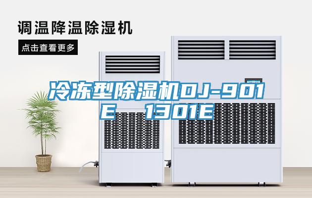 冷冻型小黄片直播视频DJ-901E  1301E