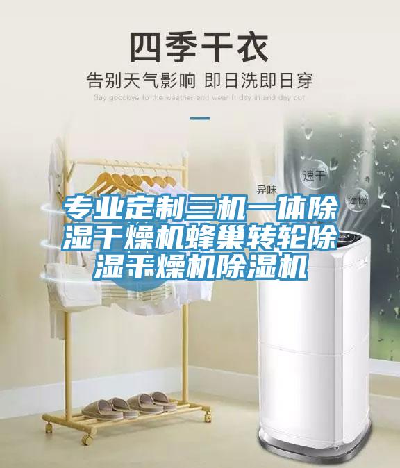 专业定制三机一体除湿干燥机蜂巢转轮除湿干燥机小黄片直播视频