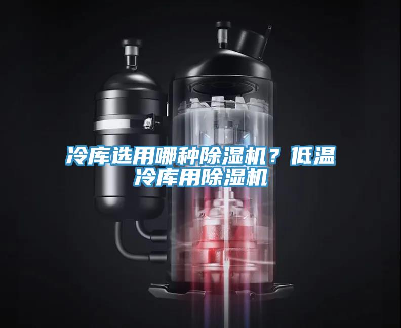 冷库选用哪种小黄片直播视频？低温冷库用小黄片直播视频