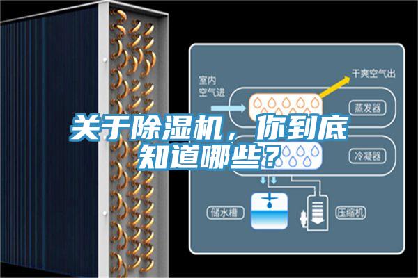 关于小黄片直播视频，你到底知道哪些？