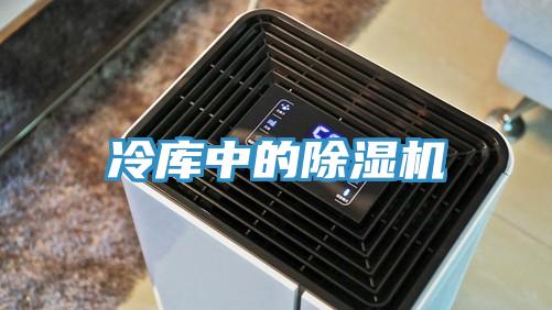 冷库中的小黄片直播视频