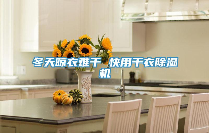 冬天晾衣难干 快用干衣小黄片直播视频