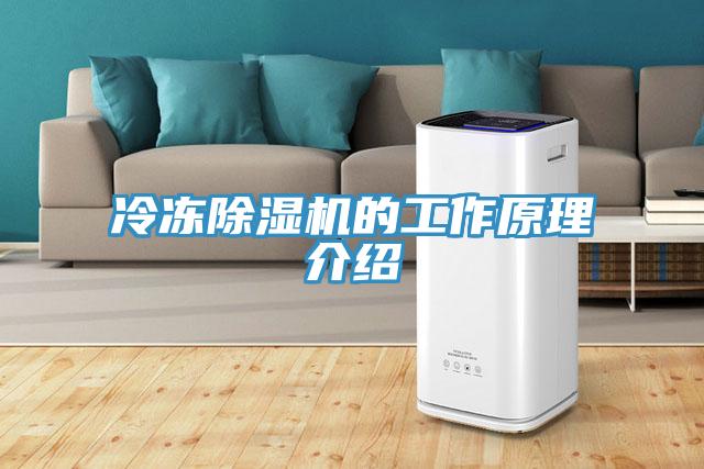 冷冻小黄片直播视频的工作原理介绍