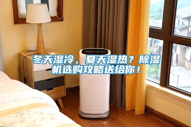 冬天湿冷，夏天湿热？小黄片直播视频选购攻略送给你！