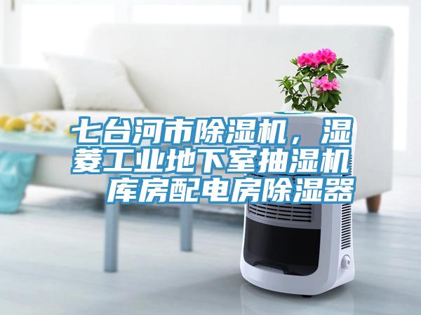 七台河市小黄片直播视频，湿菱工业地下室抽湿机  库房配电房除湿器
