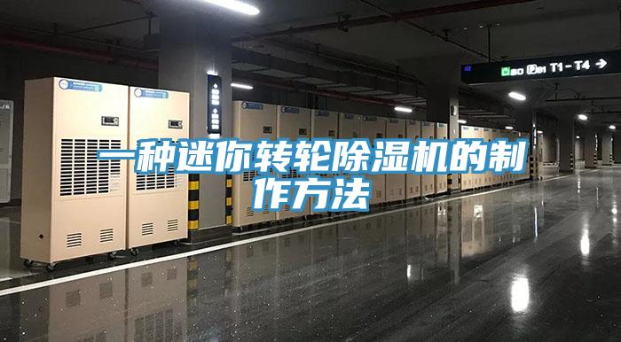 一种迷你转轮小黄片直播视频的制作方法