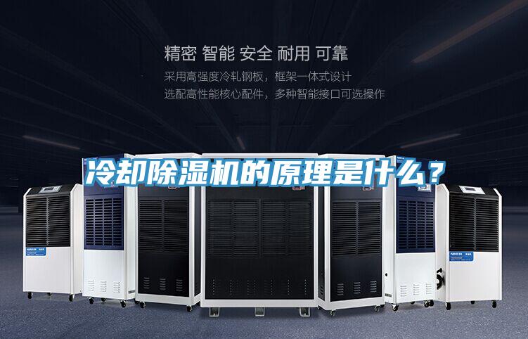 冷却小黄片直播视频的原理是什么？