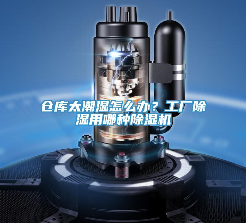 仓库太潮湿怎么办？工厂除湿用哪种小黄片直播视频