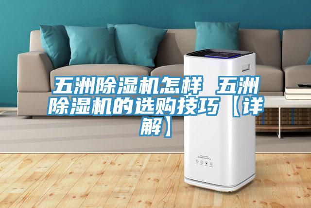 五洲小黄片直播视频怎样 五洲小黄片直播视频的选购技巧【详解】