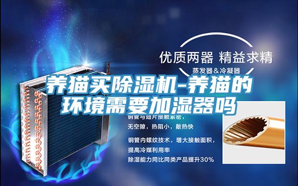 养猫买小黄片直播视频-养猫的环境需要加湿器吗