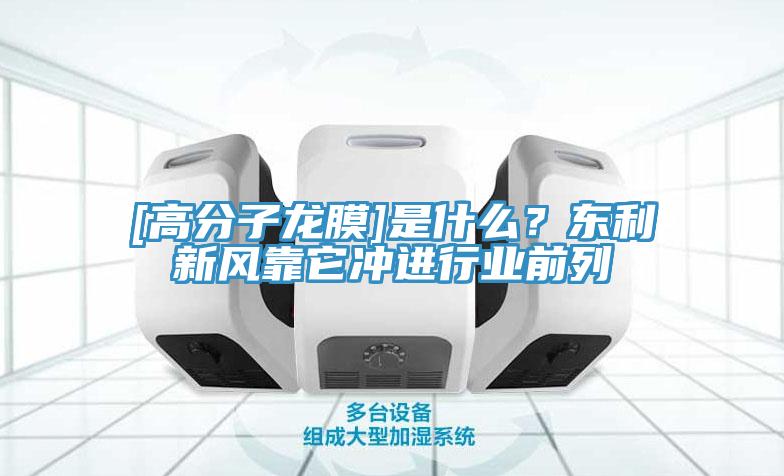 [高分子龙膜]是什么？东利新风靠它冲进行业前列