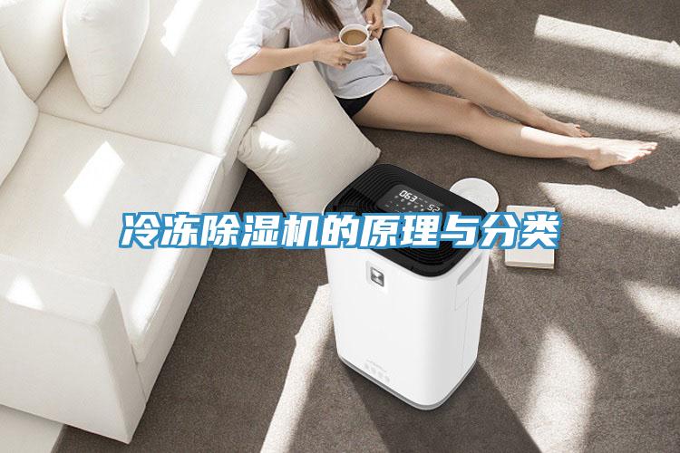 冷冻小黄片直播视频的原理与分类