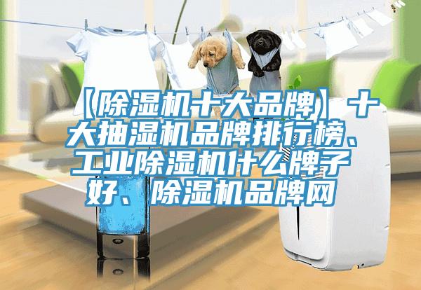 【小黄片直播视频十大品牌】十大抽湿机品牌排行榜、工业小黄片直播视频什么牌子好、小黄片直播视频品牌网