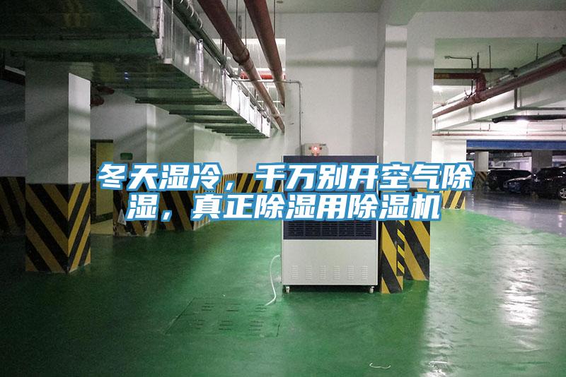 冬天湿冷，千万别开空气除湿，真正除湿用小黄片直播视频