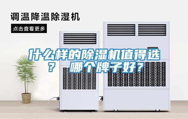 什么样的小黄片直播视频值得选？ 哪个牌子好？