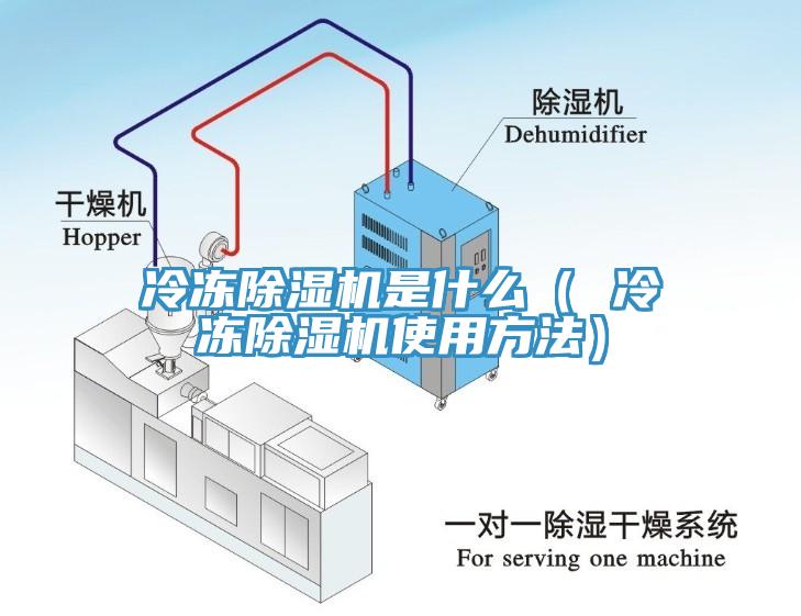 冷冻小黄片直播视频是什么（ 冷冻小黄片直播视频使用方法）