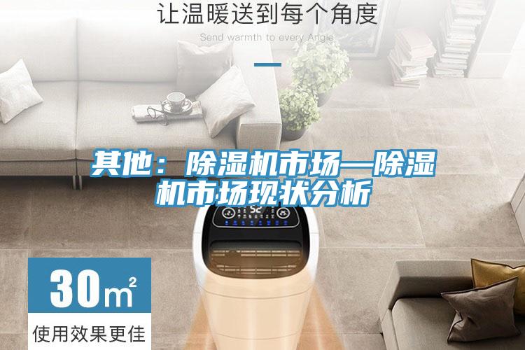 其他：小黄片直播视频市场—小黄片直播视频市场现状分析