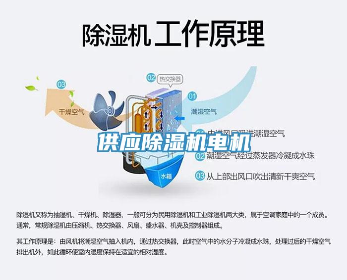 供应小黄片直播视频电机