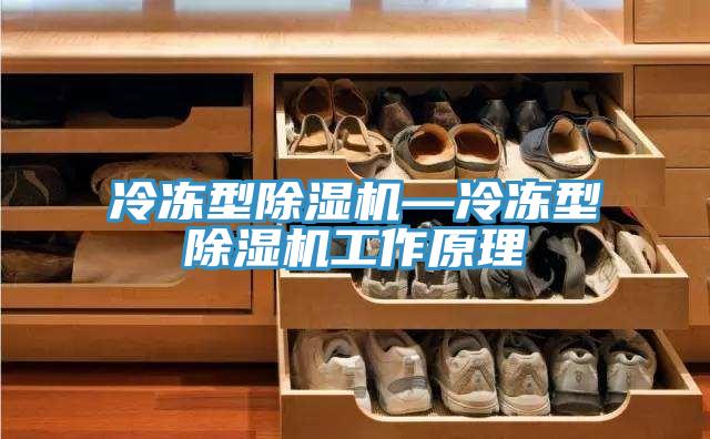 冷冻型小黄片直播视频—冷冻型小黄片直播视频工作原理