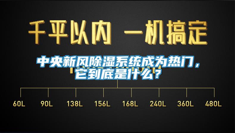 中央新风除湿系统成为热门，它到底是什么？