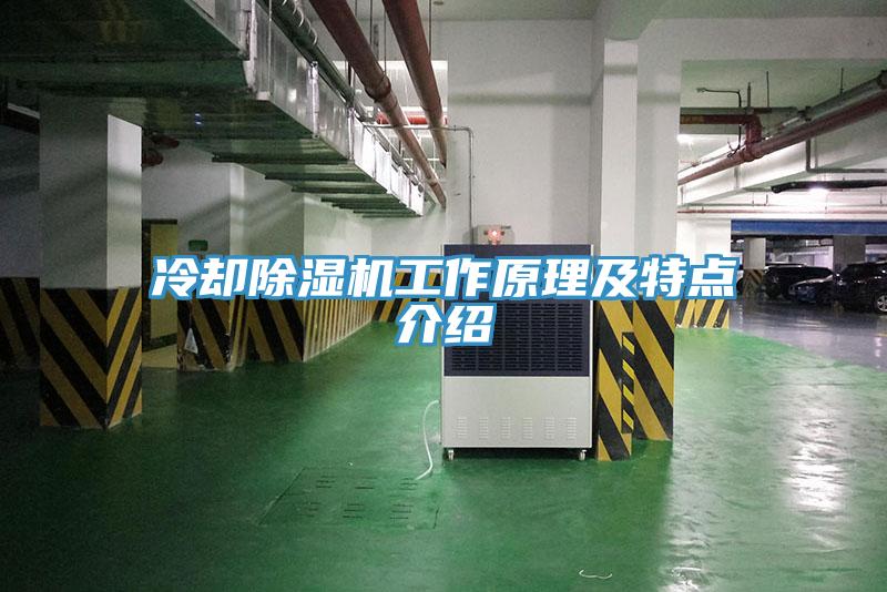 冷却小黄片直播视频工作原理及特点介绍