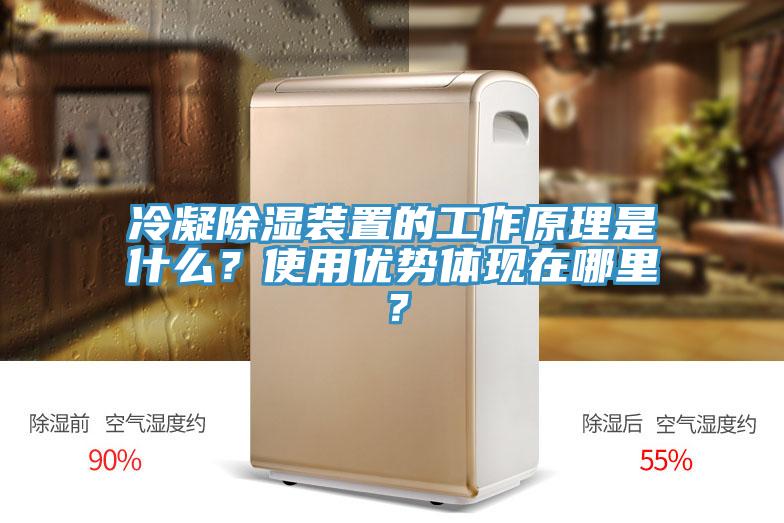 冷凝除湿装置的工作原理是什么？使用优势体现在哪里？