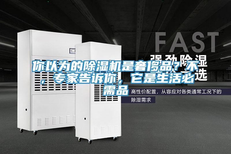 你以为的小黄片直播视频是奢侈品？不，专家告诉你，它是生活必需品