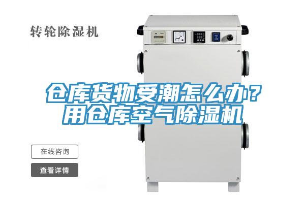 仓库货物受潮怎么办？用仓库空气小黄片直播视频
