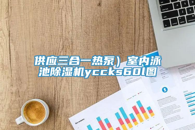 供应三合一热泵）室内泳池小黄片直播视频yccks60l图
