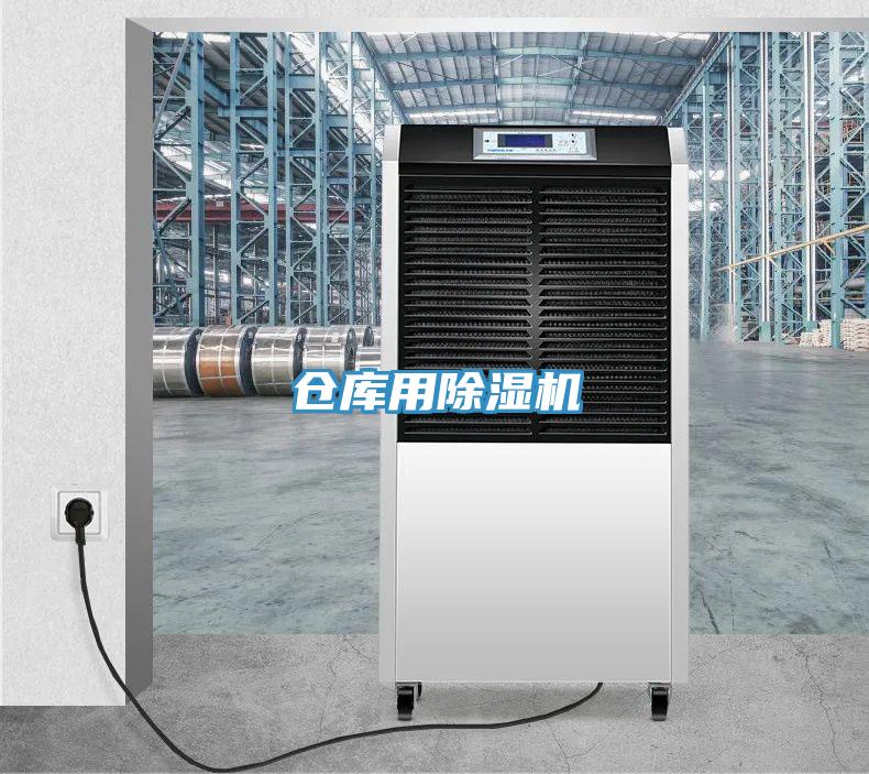 仓库用小黄片直播视频