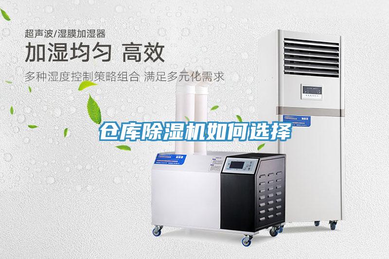 仓库小黄片直播视频如何选择