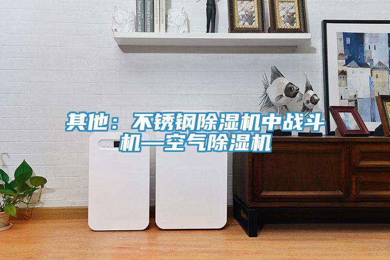 其他：不锈钢小黄片直播视频中战斗机—空气小黄片直播视频