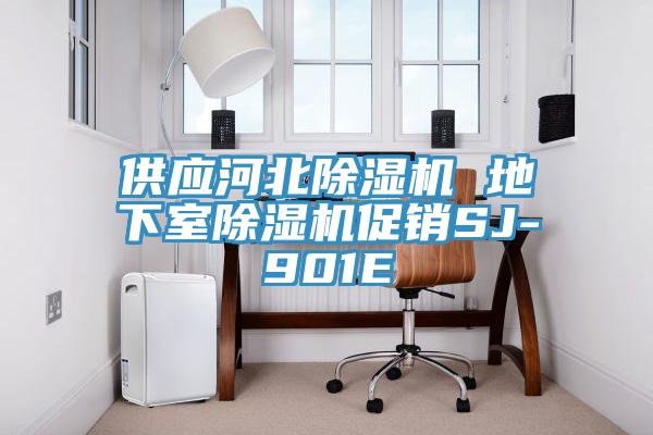 供应河北小黄片直播视频 地下室小黄片直播视频促销SJ-901E