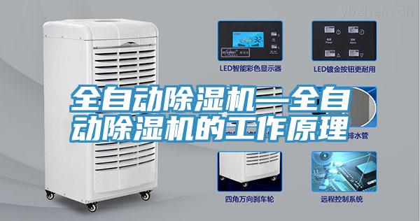 全自动小黄片直播视频—全自动小黄片直播视频的工作原理