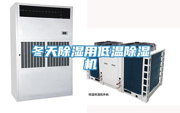 冬天除湿用低温小黄片直播视频